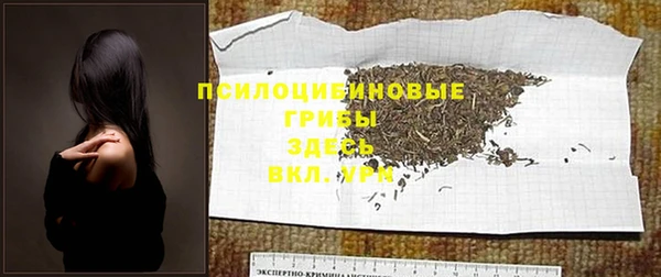 jwh Пересвет