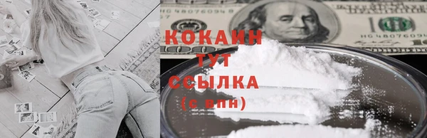 шишки Абинск