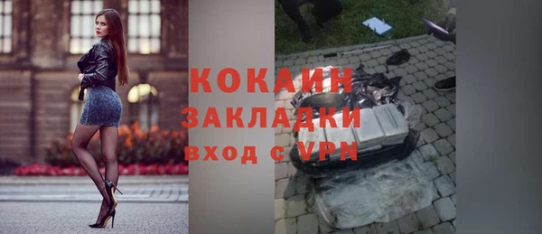 шишки Абинск