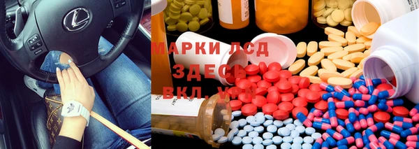 шишки Абинск