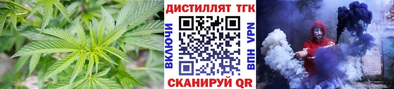 ТГК Wax Нолинск