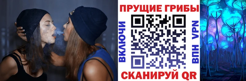Псилоцибиновые грибы MAGIC MUSHROOMS  Нолинск 
